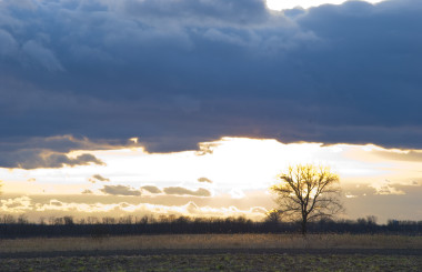 Landschaft | die ersten Gehversuche