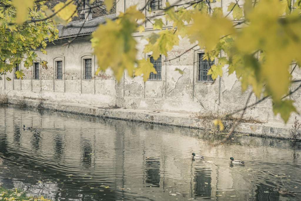 Laa an der Thaya im Herbst