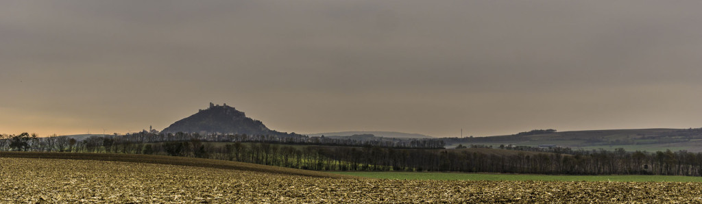 Staatzer Berg im Weinviertel