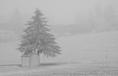 Winter Wonderland