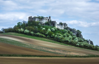 Falkenstein, Weinviertel